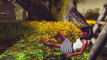 A relaxing afternoon - image gratuit #326087